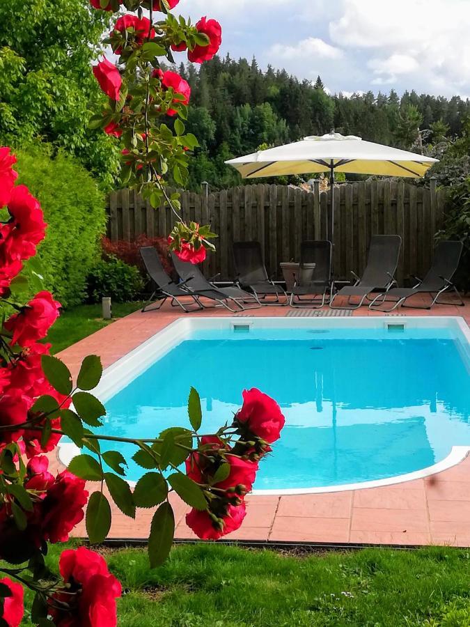 Ferienwohnung Mit Pool In Woerthersee Naehe Dellach  Exterior foto